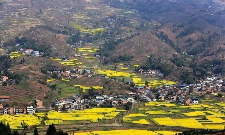 1543546902933273.jpg 5.webp.jpg